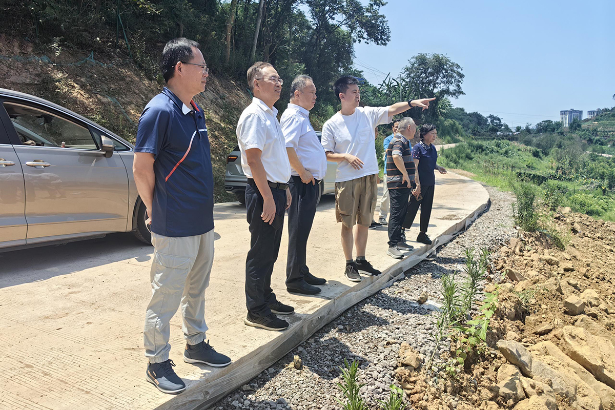 50efd726-46f7-4273-8356-f82838223ac4 50efd726-46f7-4273-8356-f82838223ac4